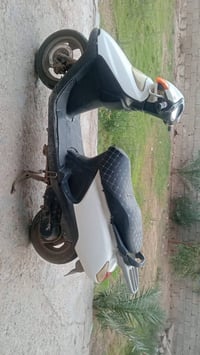 سبيسي ياباني • مجفته • 4 كير