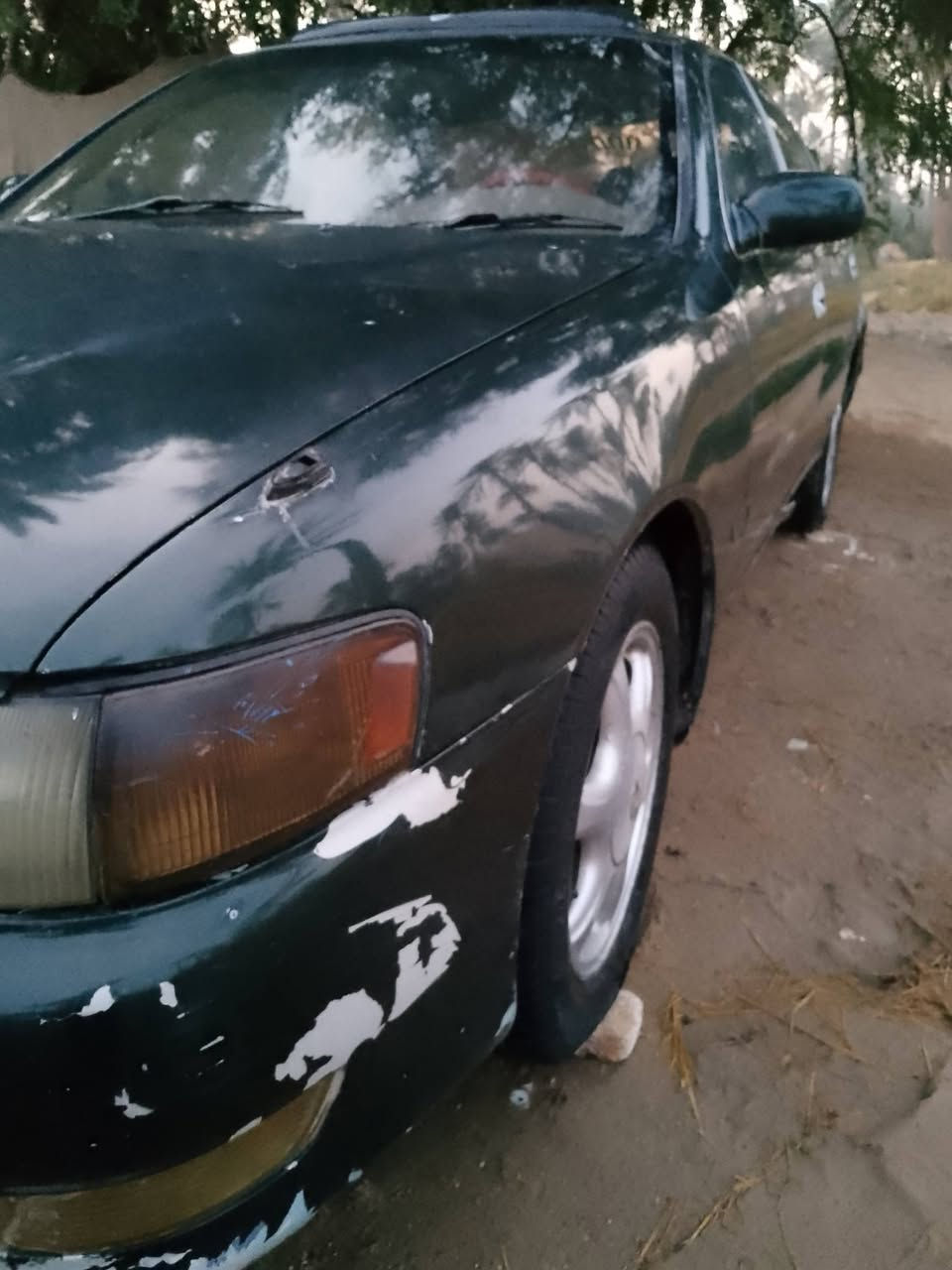 سلام عليكم كـرستة للبيع مكان دوانية قضاء غماس تفاصيل ***********
