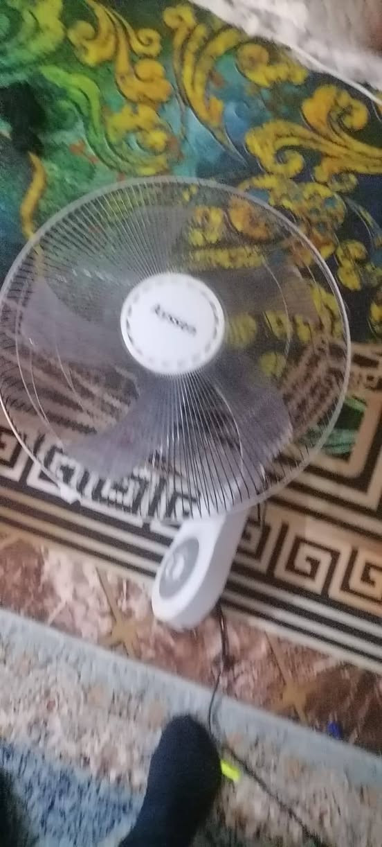 كلمن سعره


**إذا كنت صاحب هذا الإعلان وتريد حذفه لأي سبب، رجاءا أرسل رسالة إلى الدعم الفني**