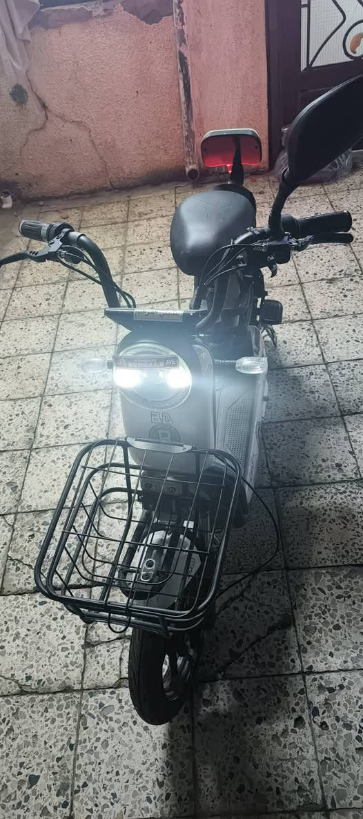 شحن البيع شغال بريكات شغال ليت اشاير هورن شغال السعر 160 الرقم ***********
