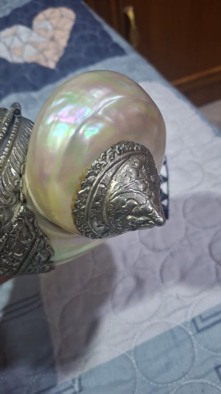 Antique Mother-of-Pearl Kohl Container – Rare Vintage Piece
Description:
For sale: an original antique kohl container dating back to the late 19th or early 20th century (approximately 90–130 years old).
The piece is made of natural mother-of-pearl with a beautifully hand-engraved metal casing (likely silver or silver-plated).

The item is in very good condition for its age, complete with lid and base, and is an excellent collectible for antique  
and heritage enthusiasts
ِكْحَلَة تراثية قديمة من أمّ اللؤلؤ والفضة – قطعة نادرة

الوصف:
للبيع تحفة تراثية أصلية تعود إلى أواخر القرن التاسع عشر أو بدايات القرن العشرين (حوالي 90–130 سنة).
القطعة مصنوعة من أمّ اللؤلؤ الطبيعي مع غلاف معدني مزخرف يدويًا (يرجّح أن يكون فضة أو معدن مفضّض قديم).

القطعة بحالة جيدة جدًا نسبةً لعمرها، مكتملة الأجزاء (الغطاء والقاعدة)، وتُعد قطعة جميلة لهواة جمع التحف والتراث 

السعر 1000 $ دولار امريكي 
الموقع / العراق البصرة 
وات ساب / 009647702684160


**إذا كنت صاحب هذا الإعلان وتريد حذفه لأي سبب، رجاءا أرسل رسالة إلى الدعم الفني**