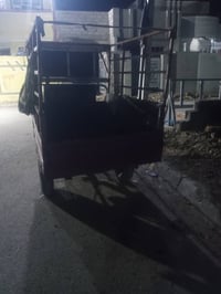 ستوته • مع رقم • سنوية