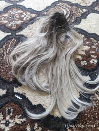 للبيع • شلعة • سعر خاص