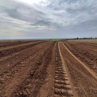 قزفخرة • ٢٠٠٠م • مكاتبة