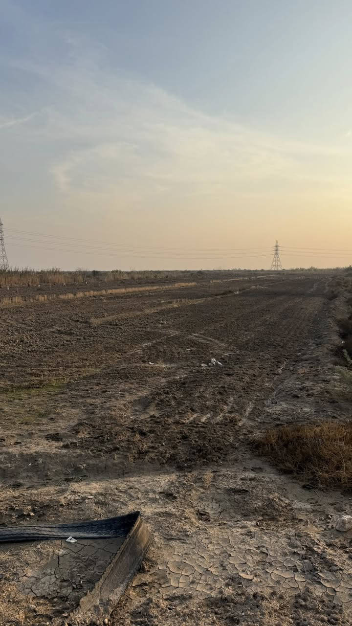 السلام عليكم
ارض زراعيه للبيع
المساحه  7 دونم  
الوجه 70 النزال 240 
الموقع طريق نصر دوايه ( مقابل فرع عتاب)

للإستفسار   ‭0782 932 3971‬
مكلف بالنشر !
