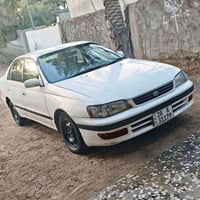 كرونة • ١٩٩٥ • نجف