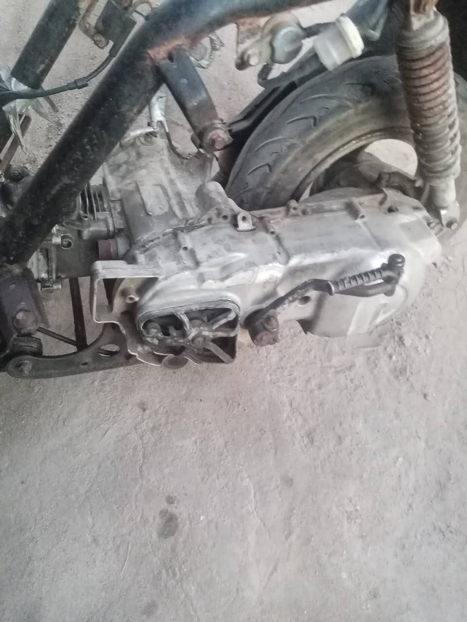 محرك دراجه فراشه للبيع محرك نضيف عوزه تبديل زنجيل تايم لان نكطع زنجيله اليوم محرك كامل غراضه مثل مامبين بصور وبعد قباقه التبريد موجوده سعر 75 مكاني ابو الخصيب


**إذا كنت صاحب هذا الإعلان وتريد حذفه لأي سبب، رجاءا أرسل رسالة إلى الدعم الفني**