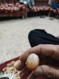 سليماني قديم مصور تحفه السعر خاص 07782622915