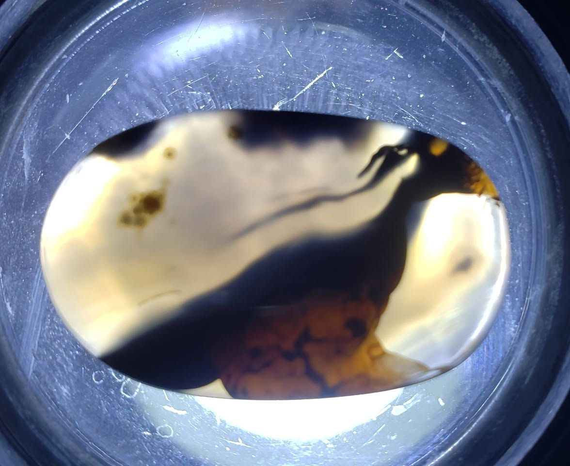 بسم الله ماشاء الله عقيق يماني مصور شكل طير اصلي طبيعي رباني راقي يسعدنا تلقي استفساراتكم على الخاص
#العقيق_المصور_اليماني_الاصلي_الطبيعي


**إذا كنت صاحب هذا الإعلان وتريد حذفه لأي سبب، رجاءا أرسل رسالة إلى الدعم الفني**