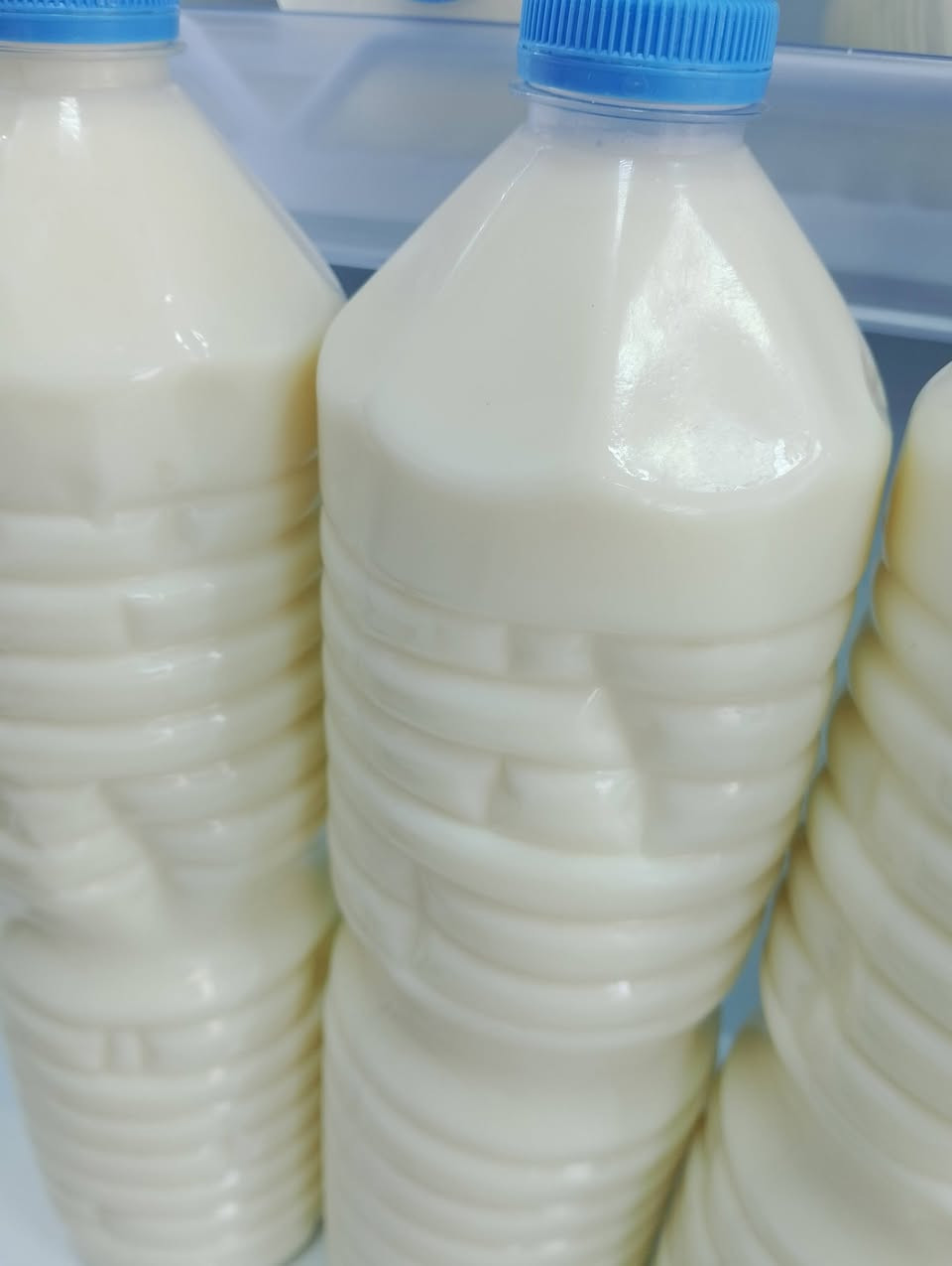صباح الخير غوالي اليوم وفرنالكم كلشي انشالله جبن مال غنم كميه محدوده اتوفرت جبن مالح خاثر غنم وخاثر بقر  وفرنالكم حليب بقر هم  وبيض عرب ودهن حر  وجبن وكيمر بلقشطه هم وفرنالكم وباقي الامور انشالله اليوم كلشي متوفر او الف هلا بيكم البان الريف ترحب بكم عنوانه تكريت القادسيه مقابيل مول المناره بصف صيدليه العلا ويوجد خدمت توصيل هم *********** منتجاتنه كلها فريش يوم بيومه
