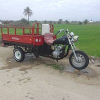 ستوته • كفاله عامه • نجف مشخاب