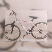 باسكل • دراجة هوائية • دراجة • للبيع