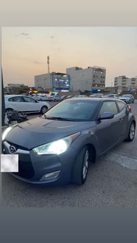فيلوستر • ٢٠١٦ • بونيت بوياغة
