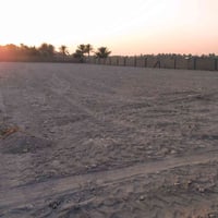 ارض طابو زراعي سند 25 مساحة دونم 2500 متر خلف السايلون تبعد عن التبليط...
