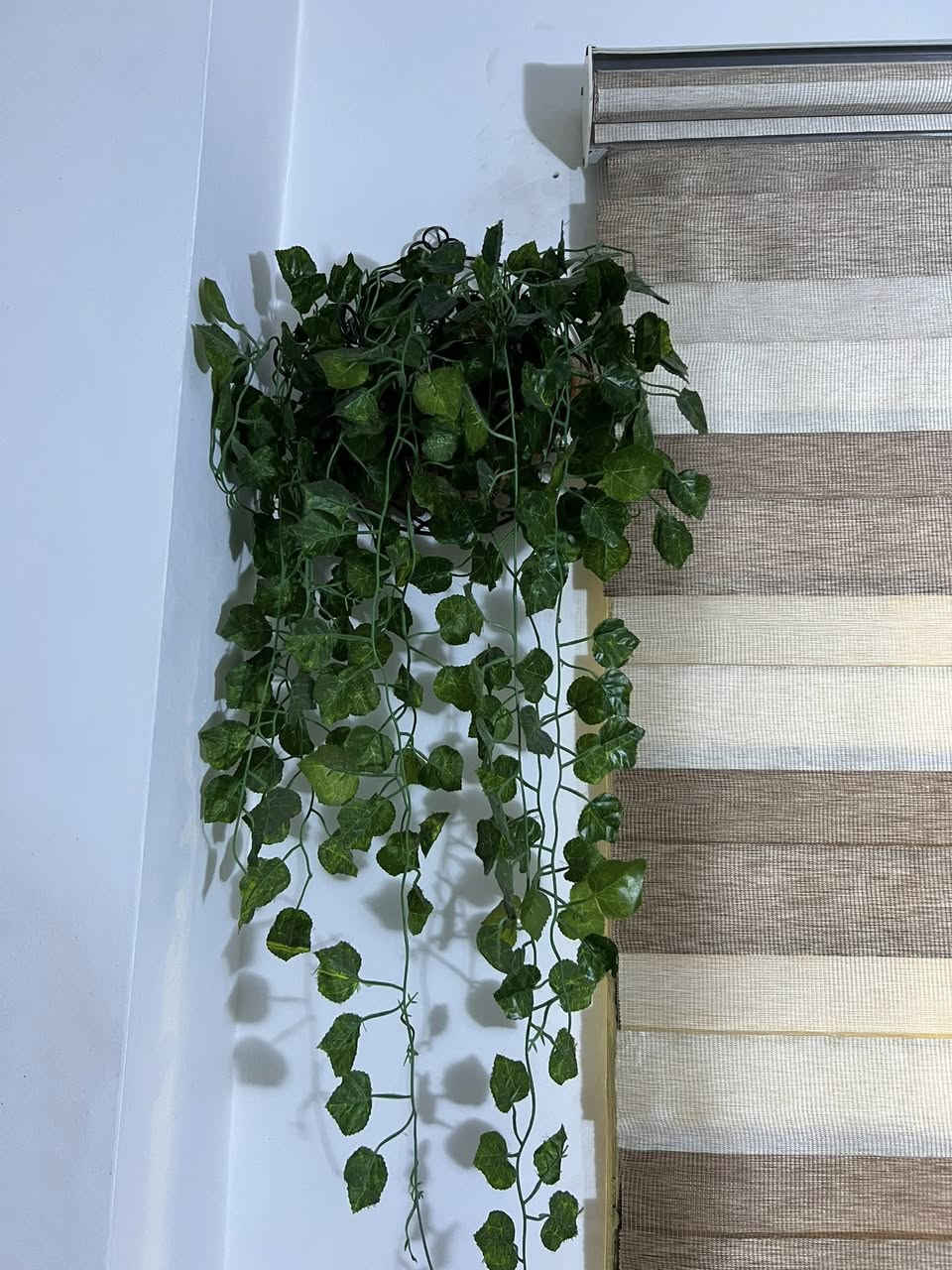 غراض للبيع


**إذا كنت صاحب هذا الإعلان وتريد حذفه لأي سبب، رجاءا أرسل رسالة إلى الدعم الفني**