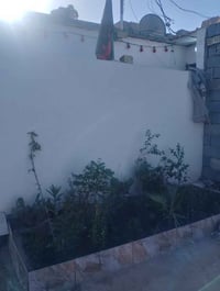 دار • ٩٥م • عقد الزرعي الشبانات