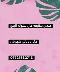 توك توك • ديالى شهربان • واتساب