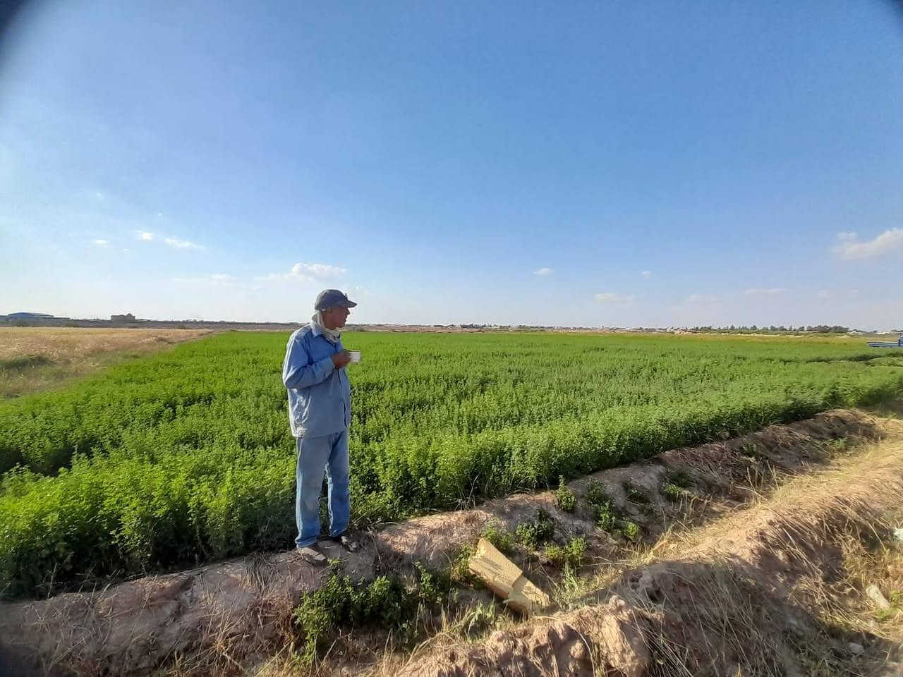 اكثر من ١٠ دوانم عقد ٣٥ بعد الجسر الفرنسي بالنزلة الي مقابيل سكلة ابو علي العگيلي تبعد عن الشارع العام كيلو والارض عالمشروع الاروائي مباشرة ..


**إذا كنت صاحب هذا الإعلان وتريد حذفه لأي سبب، رجاءا أرسل رسالة إلى الدعم الفني**