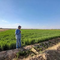 ١٠+ دوانم • الجسر الفرنسي • المشروع الاروائي