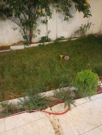 الدار للبيع المساحه 220م الواجهة 11م النزال 20م طابق واحد جاهز غرفتين ...