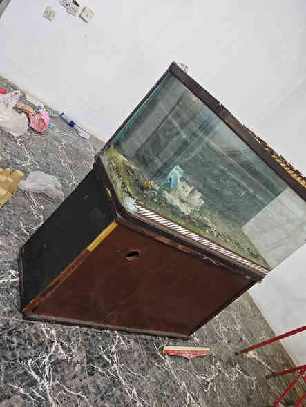 مێز و حەوزی ماسی بۆ فرۆشتن لە سلێمانی
بە نرخێکی زۆت گونجاو
*********** السليمانية
