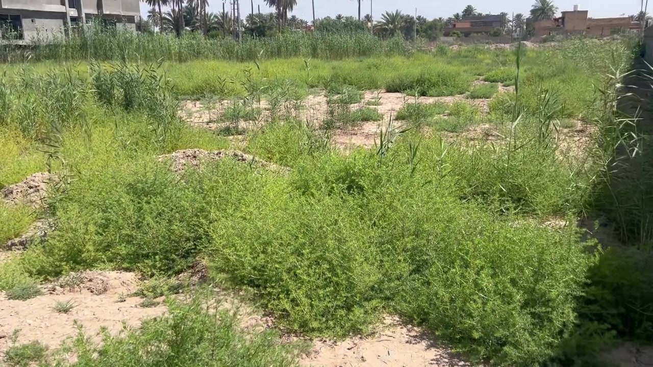 السلام عليكم2000متر للبيع واجهة  بلنيل على جدول بابل والوجه الثآني تبليط يصلح مزارع  وشالهات 
السعر  ١٠٠٠ متر ١٧٠ وقابل للتفاوض 
(تابع الصفحه موجود هواي عروض)
***********
