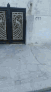 دارللبيع 🏡🏡🏡
دار للبيع القاهرة حي الأمن بالقرب من جامع نورألدين البرفكاني سايدين ألنهضة. 
المساحة 180م طابق واحد سند طابو ألزهور بحساب أرض .
ألسعر 135 مليون وقابل للتفاوض للاستعلام والاستفسار الاتصال بالأرقام التالية .
*********** كورك
*********** اسيا
أو مراجعة مكتب نور ألنهضة للعقار سايدين ألنهضة قرب جامع نور الدين البرفكاني
