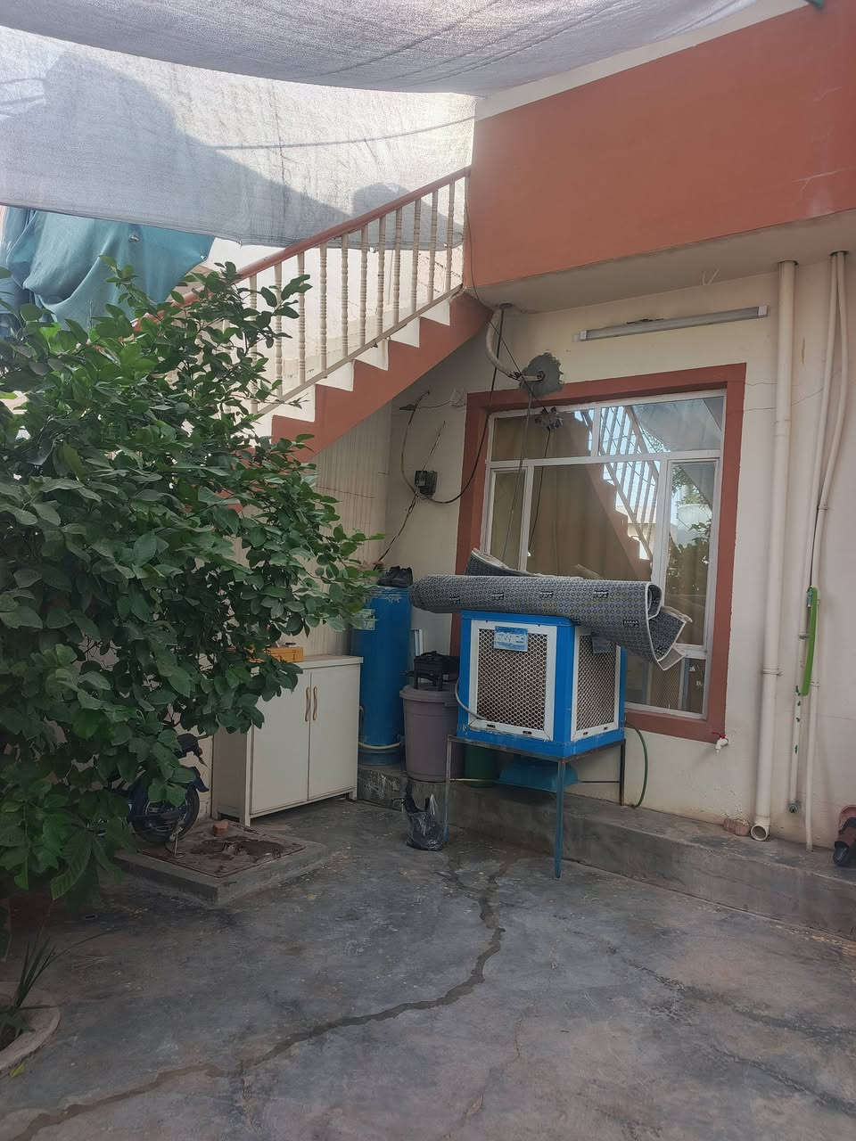 هاوڕێیان
بەڕێزان خانووی ئەم جارەمان گەڕەکی حمرین
واتە کوڵەجۆیەکانەوە دێینە خزمەتان
هاوڕێیان ڕووبەری ئەم خانووە 120مترە
ڕووی خۆری بەیانیە
پێشی جۆڵە 
شوێنی زۆر نزیکە لەدووسایدی بازاڕەوە
خانویەکی زۆر دڵگیروخۆشە
سعری مناسبە
ـــــــــــــــــــــــــــــــــــــــــــــــــــ
🍁🍂🍁🍂🍁🍂🍁🍂🍁🍂🍁🍂
بۆزانیاری زیاترپەیوەندیمان پێوە بکە
ژمارەکانی نووسینگە
***********
***********
***********
🍂🍁🍂🍁🍂🍁🍂🍁🍂🍁🍂🍁
نوسینگە مان لەکەلار و ڕزگاری
بۆ_کڕین_و_فرۆشتن_و_بەکرێدانی_هەموو_جۆرە_موڵکێک
خانوو_زەوی_شوقە_دوکان_باخ_دۆنم کەلار و ناحیەی ڕزگاری و لــە گـشت گــەەرمیـان
🍂🍁🍂🍁🍂🍁🍂🍁🍂🍁🍂🍁🍂
ئێوەی بەڕێزیش گەر موڵکتان هەیە دەتانەوێ بیفرۆشن
یان دەتانەوێ بکڕن یان بەکرێی بدەن 
نوسینگەمان لەخزمەتاندایە
