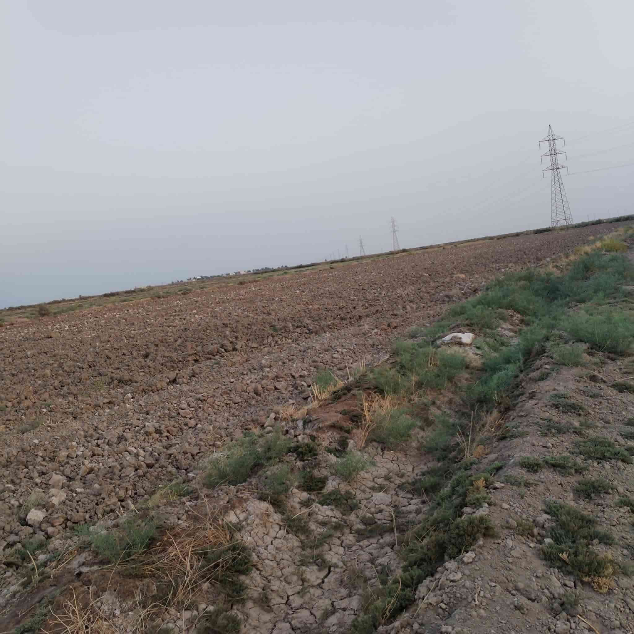 السلام عليكم توجد ارض زراعية للبيع  المساحة 5 دونم توجد فيها ماء سقي زائد كهرباء وشارع خاص بيها  على طريق الامام المحسن الاستفسار على الرقم  ***********
