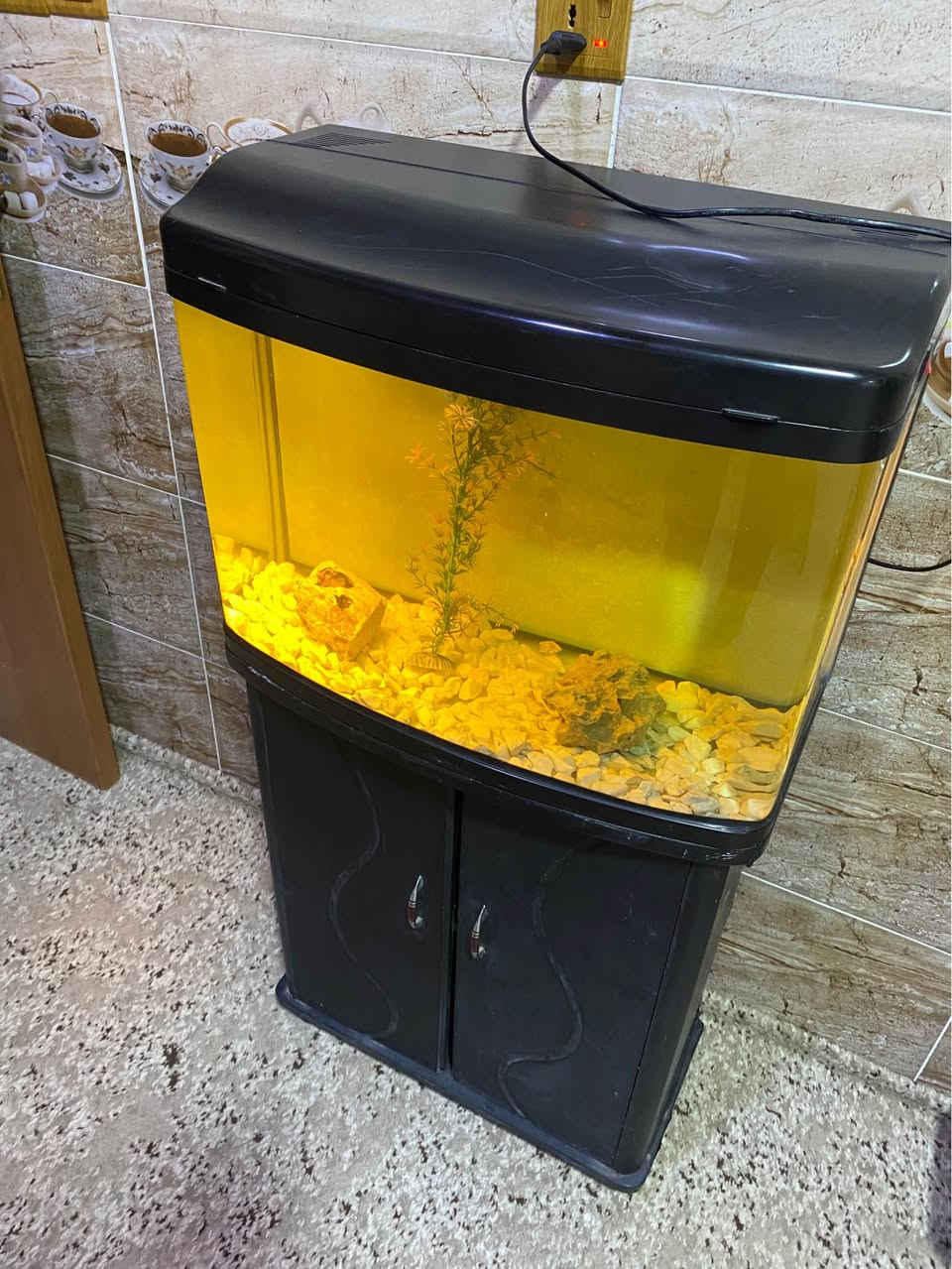 حةوزى ماسى قياسى ٦٠ سم بة ميزو دوو بةردى كةورة و بةردى بجوك و گيايةك بو فروشتن لة سليمانى السليمانية, العراق


**إذا كنت صاحب هذا الإعلان وتريد حذفه لأي سبب، رجاءا أرسل رسالة إلى الدعم الفني**