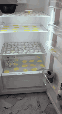 ثلاجه للبيع حجم ٢٤ جديده كلش ونضيفه شخط مابيها النوعيه مكتوبه ع باب ثلاجه  ***********
