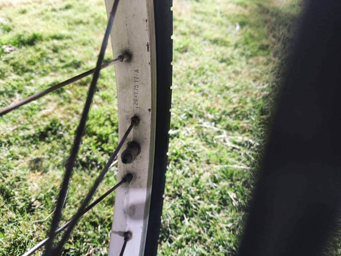 بايسكل للبيع 🚲

نضافه 100٪🌊

تخم تاير جديد فول الون ازرق 🕵️

وياله جدد نضيفات 🦸

زنجيل جديد 🔥

(البايسكل نضيف و جديد ) 🪐

السعر 55 قفل 🔋🔐

لل استفسار ***********
وتدللون علينه 💙
