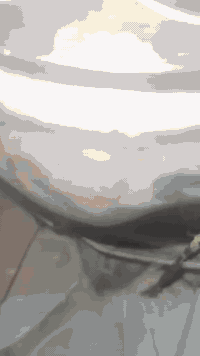 سكنس فحل طلاعات كامله مكمله مابيها نقص بس ادامه كلجات دراجة بلادي كلها ماكو نقص سعر700 وبيها مجال. مكان بغداد دورة صالنصه البلاديه موجوده 
*********** موجود واتساب
