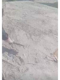 اخوان كادر مختص تشربت العكاده اتصل ودلل او واتساب 07862097645