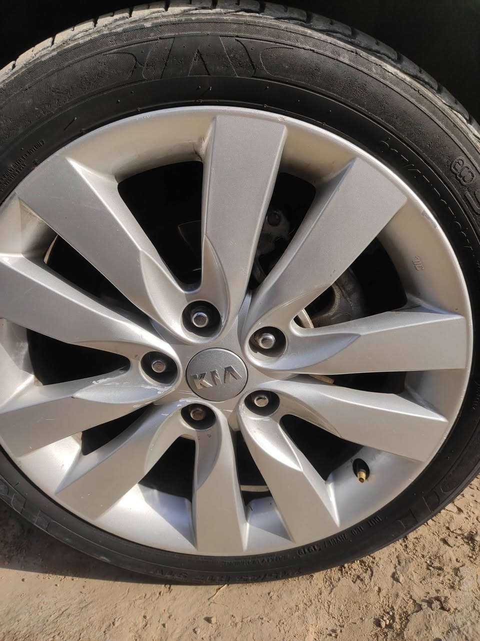 سلام عليكم عندي هذا ويل سيراتو حجم 16 أريد اراوسهن بحجم 17 ***********
