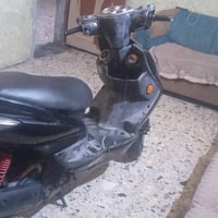 بسم الله وعلى بركت صاحب الزمان ومبارك عليكم الولايه سكنس فحل جكليته مو...