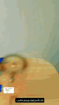 تميزي مع ورده للرسم  بقطعه صنعت خصيصا لك ❤️🤍

اطلب ولا تحتار ❤️

.رسم على مباخر و الاكواب وفرش الشعر حسب الطلب ❤️

ضمان الالوان متروح لا بغسل ولا حرارة ❤️..اسعار جدًااا مناسبة ♥️

 الالوان والنقشات حسب الطلب

متوفر توصيل  جميع المحافضات 5 الاف 

حساباتي ... 

انستقرام: worod_.3

تيك توك: ورده للرسم على الزجاج 

Worod_.3

واتساب/***********

 #رسم_على_الزجاج #رسم_على_الاكواب #مباخر #اكسبلور_فولو               

#اصحاب_المشاريع_الصغيرة #اللهم_ارزقنا_الحلال_يارب #احبكم_يا_احلى_متابعين #اكسبلورexplore #ترند_الخليج #مالي_خلق_احط_هاشتاقات #تصويري #تصميم_فيديوهات🎶🎤🎬 #ترند #ترند_تيك_توك #لايك__explore___ #الشعب_الصيني_ماله_حل😂😂 #capcut #قالب_كاب_كات
