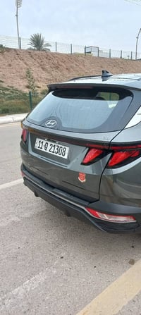 توسان ٢٠٢٤ • قطعتين صبغ • بعقوبة