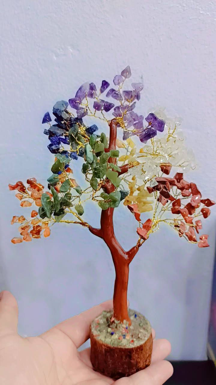 شجره حجر الجمشت.. جدا راقيه
مزاد أعلى سعر توصيل.. 5


**إذا كنت صاحب هذا الإعلان وتريد حذفه لأي سبب، رجاءا أرسل رسالة إلى الدعم الفني**