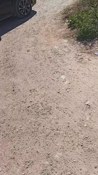 مكاسب • ١٠٠م • واجهة٥م