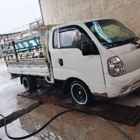 بنجو • ٢٠١٠ • مكفوله