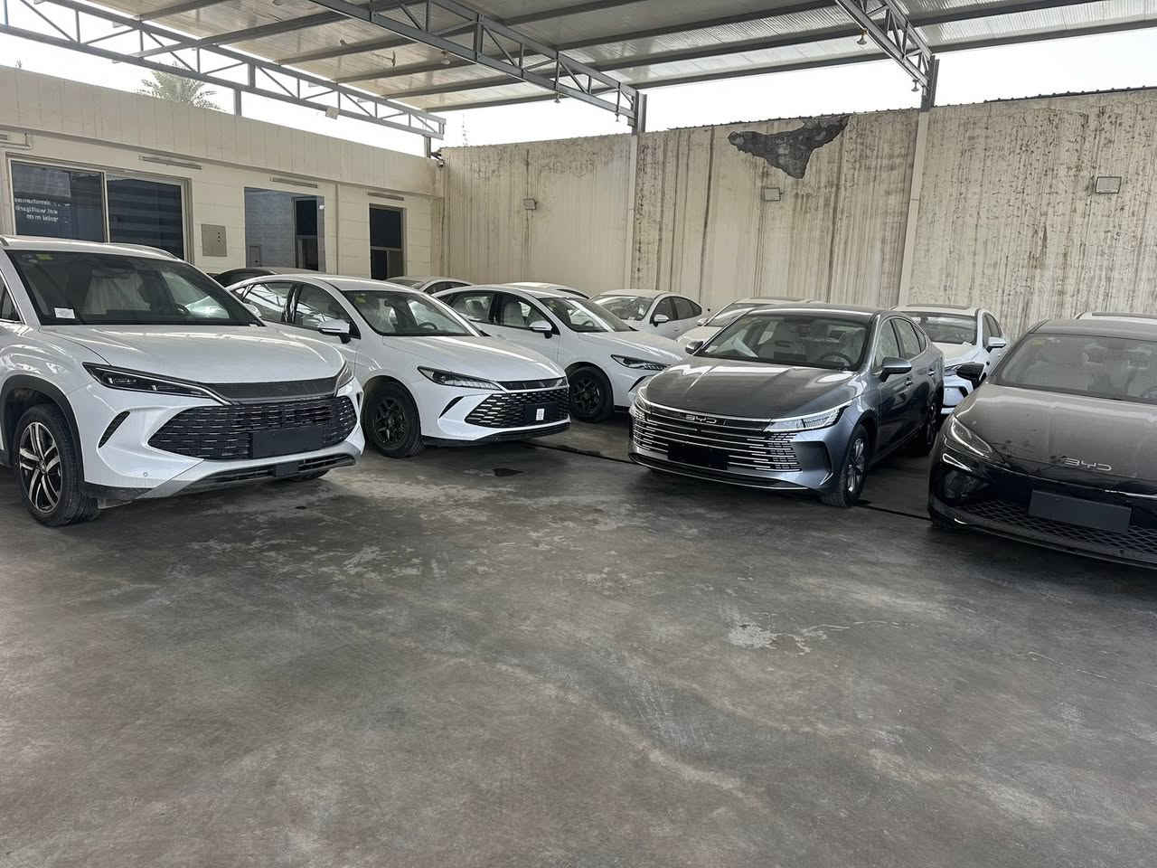 اسعار عرض خاص لمده يومين
سونك ال

دستروير ابيض 

دستروير رمادي 

كن بلاص داخل ابيض 

كن بلاص داخل زيتوني 

سيل 5 ابيض 

سيل 5 اسود 

 سيل 5 فول ١/١

سونك ال

من الصين 🇨🇳الى العراق مباشر 

يتوفر جميع انواع سيارات البي واي دي 

من قلب مخازن وساحات السيارات في اليوسفية 

للبيع المفرد والجملة

🥇مجمع معارض مدخل بغداد للسيارات

الاسعار اتصل وتدلل انسب الاسعار 

🔴بي واي دي دسترويرBYD موديل 2025 نار 🔥 

🔴بي واي دي كن بلاص BYD موديل 2025 🔥 

🔴بي واي دي سيل BYD موديل 2025 🔥 

الاسعار جدا مناسبه

        زورونا واهلا وسهلا بكم

يتوفر كافة انواع byd😍

               

للاستفساراكثر اتصل على الأرقام التالية

🥰🥰🥰🥰☎️☎️☎️☎️

عزالدين الغريري

ادهم الغريري

***********

***********

***********

***********

📍الموقع بغداد اليوسفية قرب سيطرة 75

( مجمع معارض مدخل بغداد للسيارات)

(((معارض اليوسفية))) maps/waze 📍#BYD #bydبغداد #العراقيين

#BYDIraq

#يخيي

#متابعة

#BYD#. #بغداد
