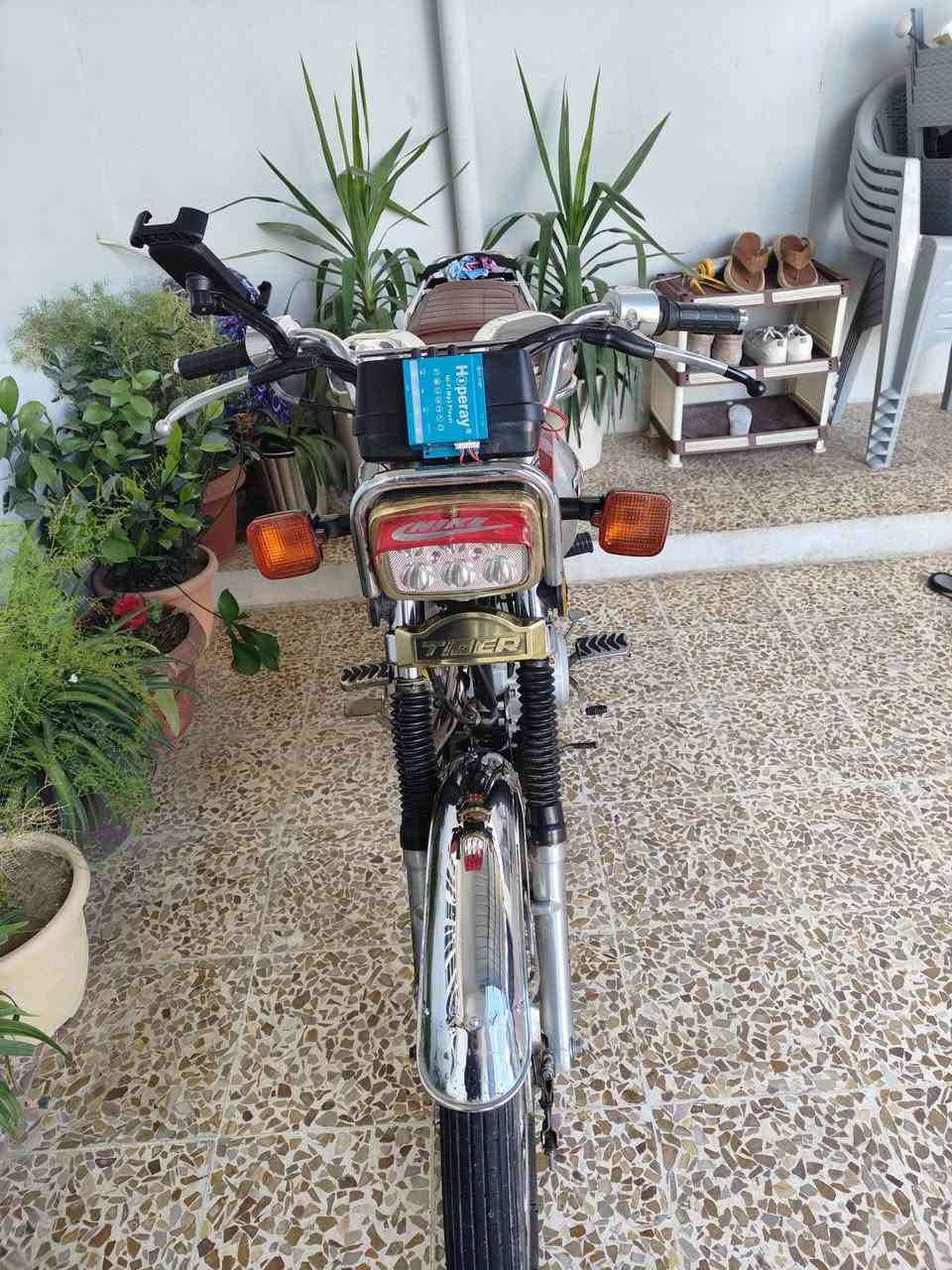 السلام عليكم تايجر 2020 نظافه فول قدام العين ايش قد ما تتوقع نظيف محرك جير شات وصبانه ما مضروب وايرمانيه شرق منافيس موجود السعر 675 وبيها مجال ***********
