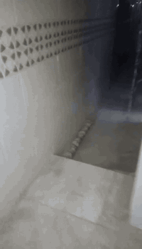 اللهم صلي على محمد وآل محمد
بيت الايجار 
مساحه 55 متر 
غرف نوم 3
مطبخ حمام 
بيت نضيف العمال بعدهم ما طالعين 
منه باجر يكمل 

الايجار 500الف وبي مجال الطيببن 
العنوان خلف سوك شلال 
قرب منفذ الخيمه 

#مكتب_السعيدي_العقار! 
الاستفسار.. 
***********
 ارجوو الامعذره التصوير مو المكتب 👑
