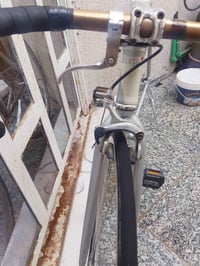 البصرة • بايسكل charqe • 8 كيلو