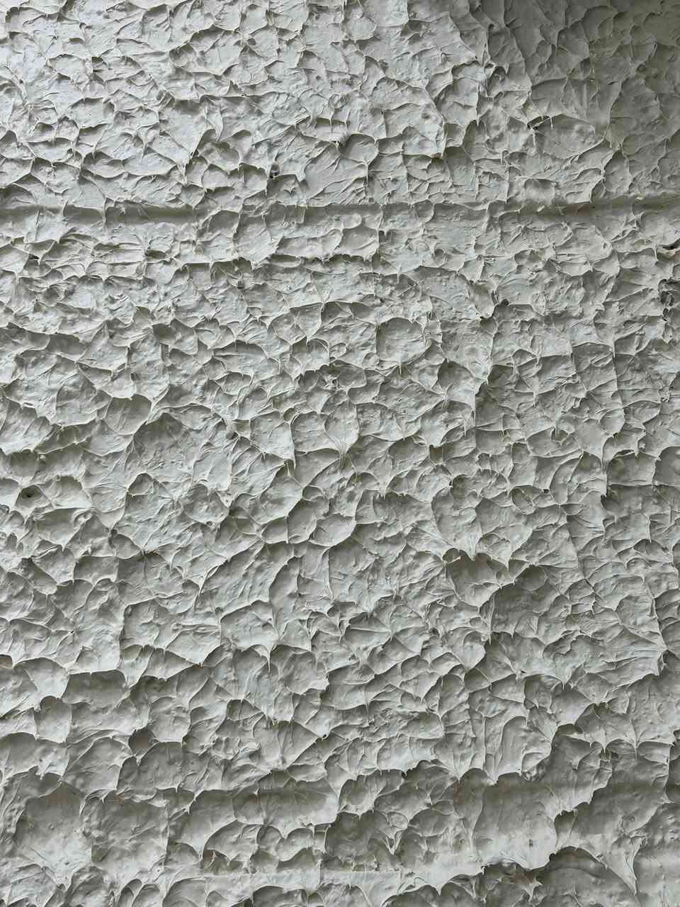 اصباغ وديكورات داني 
*********** وباسعار مناسبه
