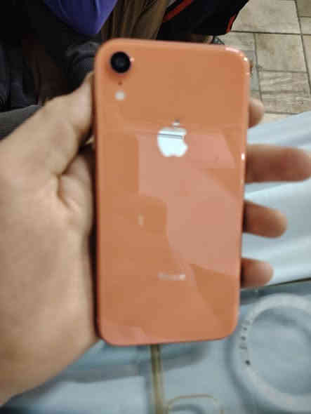 السلام عليكم ايفون اكس ار للبيع شاشه بلادي بطاريه مبدله 100 الذاكره 64 الشراي خلي  الشراي خلي يتفضل خاص او يتصل على هالرقم ***********
