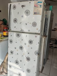 ثلاجة جبسن • ٢٠ قدم • بدها نرمايد