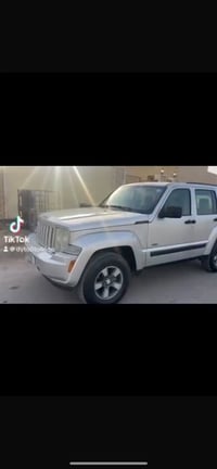 جيب لبرتي • ٢٠٠٨ • بصره قرنه