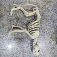 مجسم كلب • عاج اصلي • ٦٧×٣٨سم